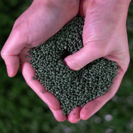 Guardian Turf Infill